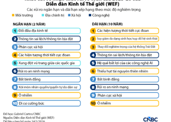 WEF cảnh báo 10 rủi ro lớn nhất với doanh nghiệp toàn cầu - Ảnh 1