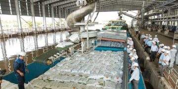 companies weigh risks in 2026