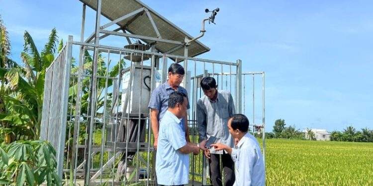 Hệ thống giám sát côn trùng thông minh góp phần nâng cao năng lực sản xuất lúa tại nhiều địa phương tại Vĩnh Long