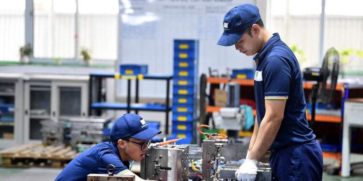 5 năm và 8.500 USD