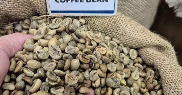 Biến động liên tục, Chủ tịch VICOFA nói gì?