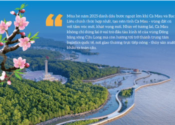 Cà Mau: Mũi tàu mang khát vọng vươn khơi - Ảnh 1