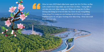 Cà Mau: Mũi tàu mang khát vọng vươn khơi - Ảnh 1