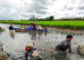 Cà Mau, từ ‘vùng trũng nghèo’ đến sinh kế thuận thiên 