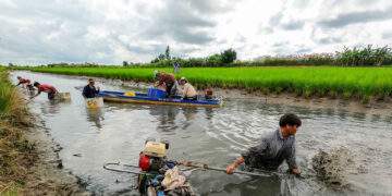 Cà Mau, từ ‘vùng trũng nghèo’ đến sinh kế thuận thiên 