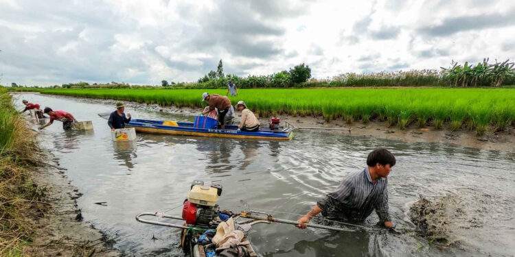 Cà Mau, từ ‘vùng trũng nghèo’ đến sinh kế thuận thiên 