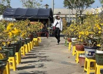 Chợ hoa Đà Nẵng ế ẩm ngày 28 Tết tiểu thương lo lắng vì sức mua giảm mạnh