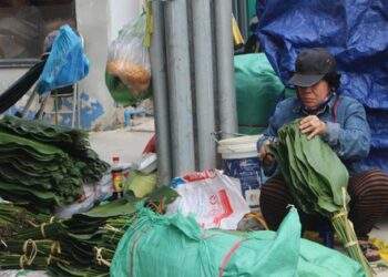 Chợ lá dong lớn nhất TPHCM chỉ họp mỗi năm một lần, nhưng sao ngày càng buồn?