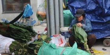 Chợ lá dong lớn nhất TPHCM chỉ họp mỗi năm một lần, nhưng sao ngày càng buồn?