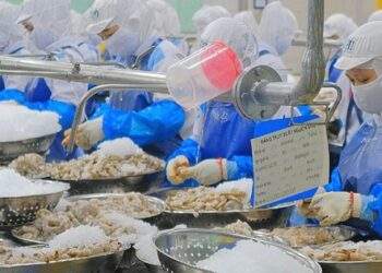 Có thể lãi gấp đôi chỉ sau một đêm?