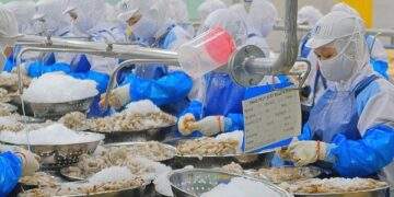 Có thể lãi gấp đôi chỉ sau một đêm?