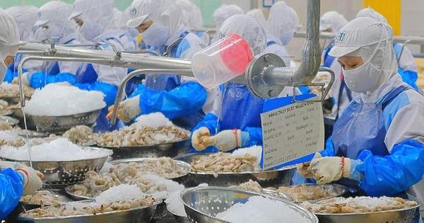 Có thể lãi gấp đôi chỉ sau một đêm?