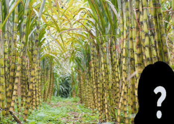 Cụ bà U90 sở hữu khối tài sản hơn 400 tỷ đồng, đút túi hơn 40 tỷ tiền cổ tức trong vòng 1 năm