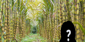 Cụ bà U90 sở hữu khối tài sản hơn 400 tỷ đồng, đút túi hơn 40 tỷ tiền cổ tức trong vòng 1 năm