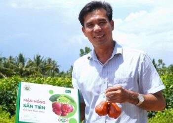 Đắt hơn sầu riêng, loại quả 230.000đ/kg giúp anh nông dân miền Tây lãi 2 tỷ/ha bất chấp nước mặn