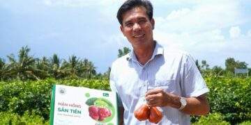 Đắt hơn sầu riêng, loại quả 230.000đ/kg giúp anh nông dân miền Tây lãi 2 tỷ/ha bất chấp nước mặn