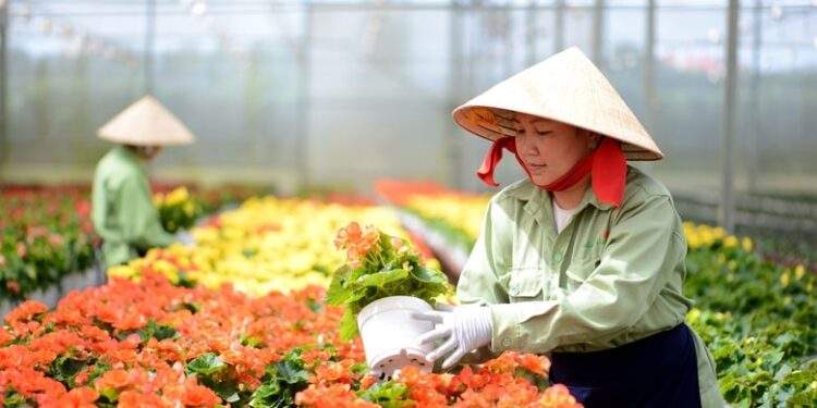 Đổi mới, nâng cao chất lượng đào tạo nghề nông thôn đến năm 2030