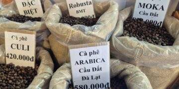Giá cà phê hôm nay 13-2: Tăng mạnh sát Tết