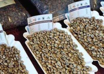 Giá cà phê hôm nay 24