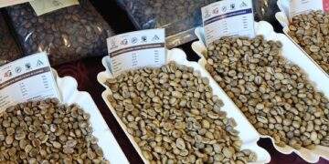 Giá cà phê hôm nay 24