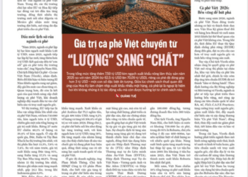 Giá trị cà phê Việt chuyển từ “lượng” sang “chất”  - Ảnh 1