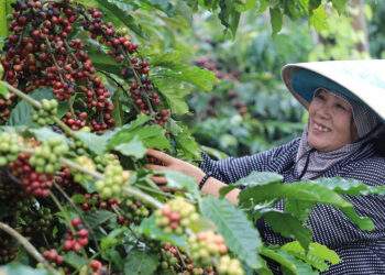 Làng “tỷ phú” giữa lòng cao nguyên