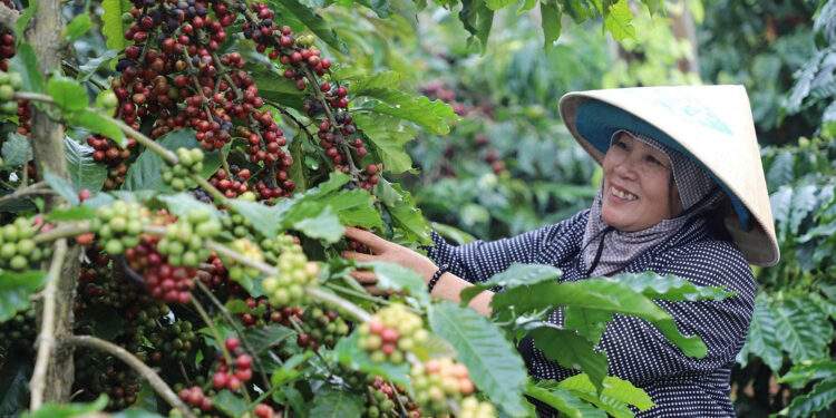 Làng “tỷ phú” giữa lòng cao nguyên