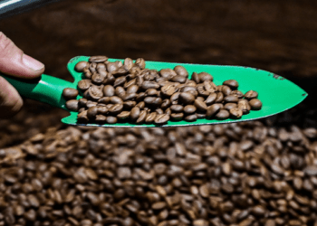 Mở hàng đầu năm, nhiều nước chi tiền gấp 3-4 lần mua một loại hạt của Việt Nam