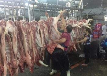 Nhiều mặt hàng tại chợ đầu mối quay đầu giảm