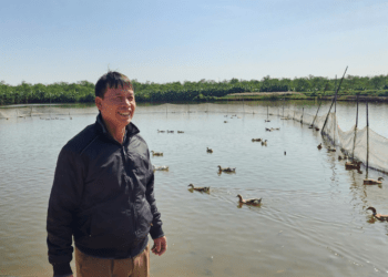 Nông dân Đoàn Văn Vươn gây dựng thương hiệu vịt biển - Ảnh 1