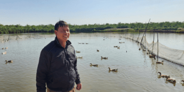 Nông dân Đoàn Văn Vươn gây dựng thương hiệu vịt biển - Ảnh 1