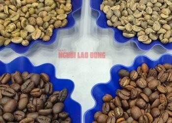 Nông dân chờ giá lên