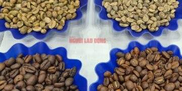 Nông dân chờ giá lên