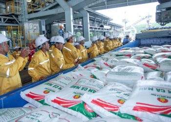 Phân bón Cà Mau xuất khẩu lô hàng đầu tiên sang Mỹ