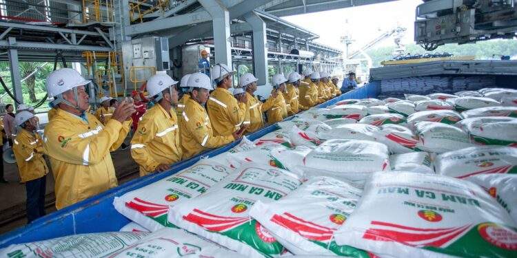 Phân bón Cà Mau xuất khẩu lô hàng đầu tiên sang Mỹ