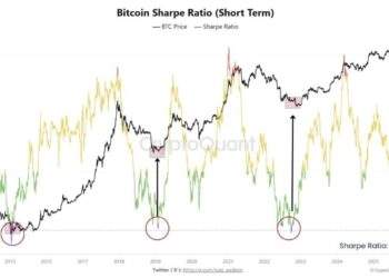 Nguồn: Michaël van de Poppe. 