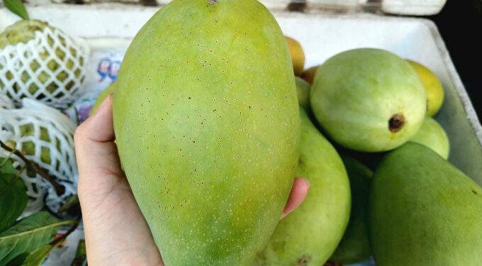 Specialty Mekong Delta mango prices rise 33% ahead of Tet on low supply