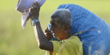 Thai rice exports fall sharply in January