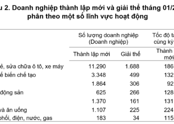 Tháng 1/2026: Doanh nghiệp gia nhập thị trường tăng, quy mô vốn nhỏ lại - Ảnh 1