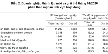 Tháng 1/2026: Doanh nghiệp gia nhập thị trường tăng, quy mô vốn nhỏ lại - Ảnh 1