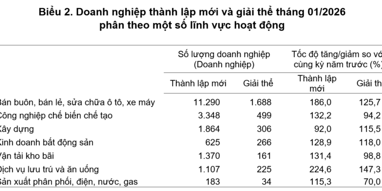 Tháng 1/2026: Doanh nghiệp gia nhập thị trường tăng, quy mô vốn nhỏ lại - Ảnh 1
