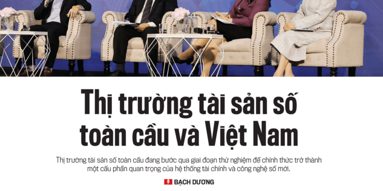 Thị trường tài sản số toàn cầu và Việt Nam - Ảnh 1
