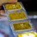 Vietnam gold prices extend gains as global rates set for biggest daily increase in 18 years