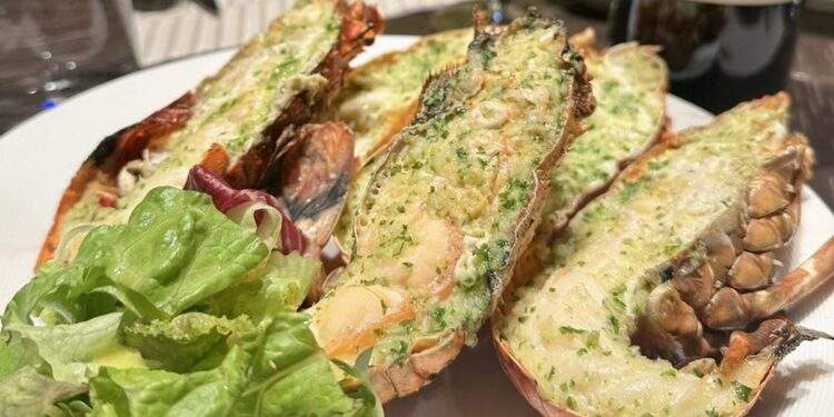 Vượt Mỹ và Canada, Việt Nam là nhà cung cấp tôm hùm số 1 cho Trung Quốc