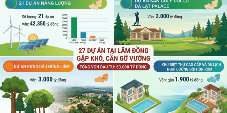 27 dự án trị giá 63.000 tỷ đồng gặp khó, tỉnh Lâm Đồng xử lý thế nào?