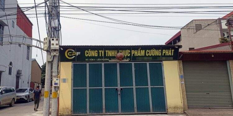 Chân dung công ty đưa thịt lợn bệnh vào nhiều trường học tại Hà Nội