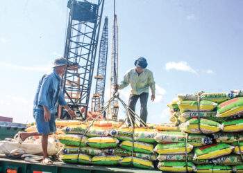 Phần lớn doanh nghiệp logistics trong nước có quy mô nhỏ, thiếu vốn và công nghệ, khiến khả năng tối ưu hóa chuỗi cung ứng còn hạn chế. Ảnh minh họa.