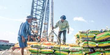 Phần lớn doanh nghiệp logistics trong nước có quy mô nhỏ, thiếu vốn và công nghệ, khiến khả năng tối ưu hóa chuỗi cung ứng còn hạn chế. Ảnh minh họa.