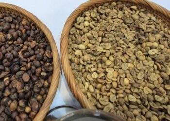 Có bật tăng trở lại?