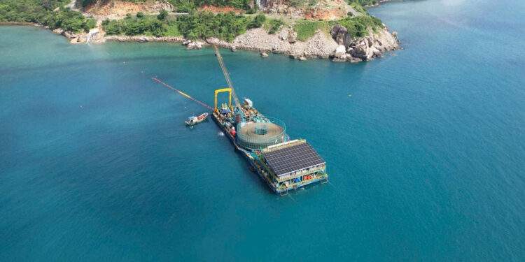 Côn Đảo bừng sáng cùng lưới điện quốc gia, bước ngoặt cho tương lai bền vững